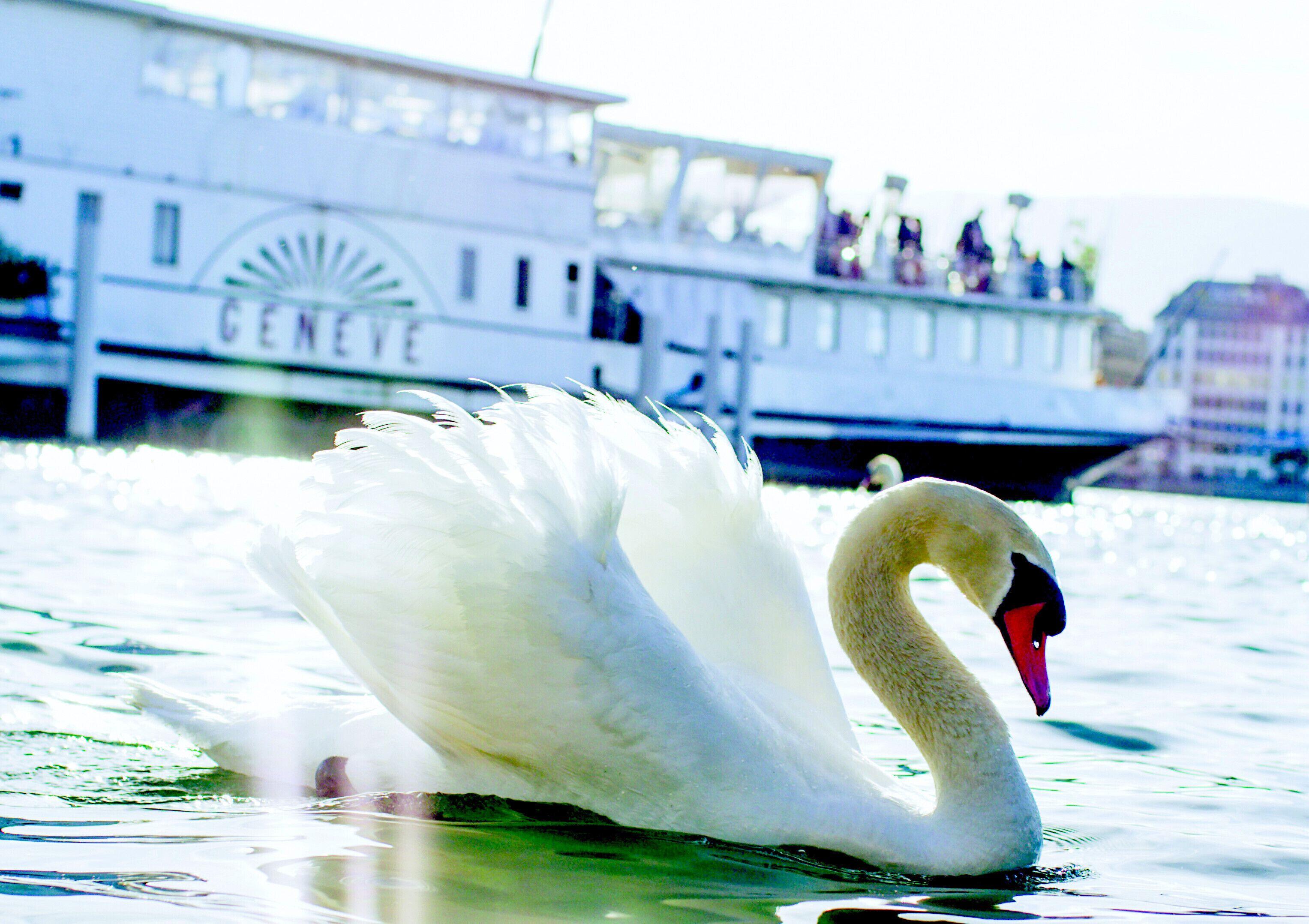 Les Nations 3* Geneva